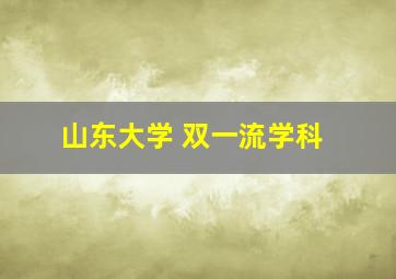 山东大学 双一流学科